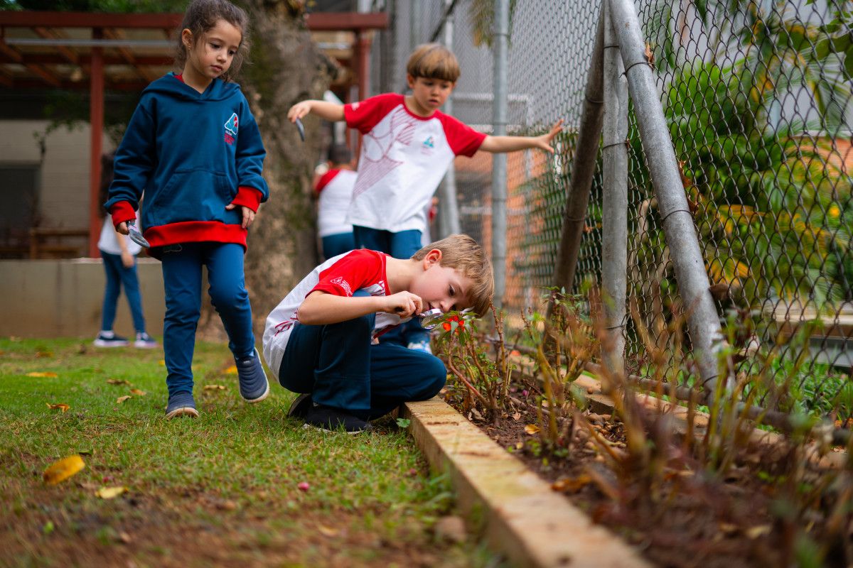 alunos observando plantas